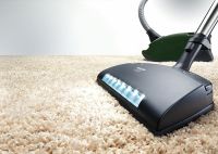 Пылесос SGPA0 Complete C3 Comfort Electro green